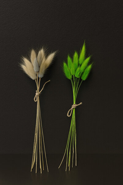 ÇINARASYADAHOME Buchet de iarbă naturală uscată de coadă de iepure verde-gri ...