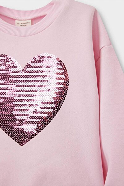 DeFacto Baby Girl Crew Neck Printed Soft Fleece Inside Sweatshirt E8922A525Au