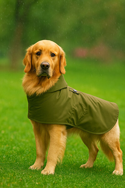 oyapet Rüzgar & Su Geçirmez Küçük ve Büyük Irk Köpekler İçin Premium Konforlu Model Köpek Yağmurluk