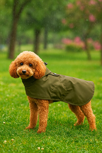 oyapet Rüzgar & Su Geçirmez Küçük ve Büyük Irk Köpekler İçin Premium Konforlu Model Köpek Yağmurluk