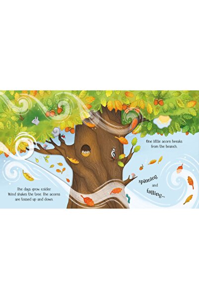 Usborne Life Cycles: One Little Tree |   English Illustrated Children's Book