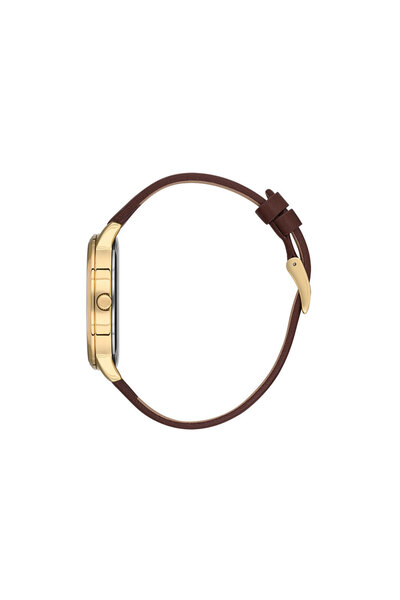 Daniel Klein Premium DK.1.13459.3 Watch