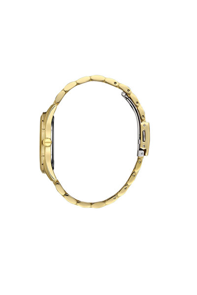 Daniel Klein Ceas Premium DK.1.13340.3