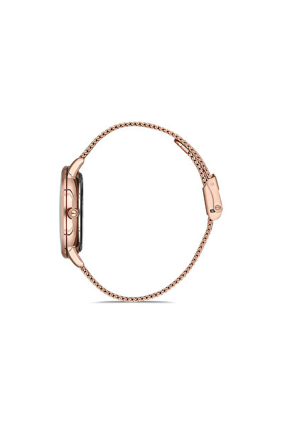 Daniel Klein Premium DK.1.12834.2 Watch