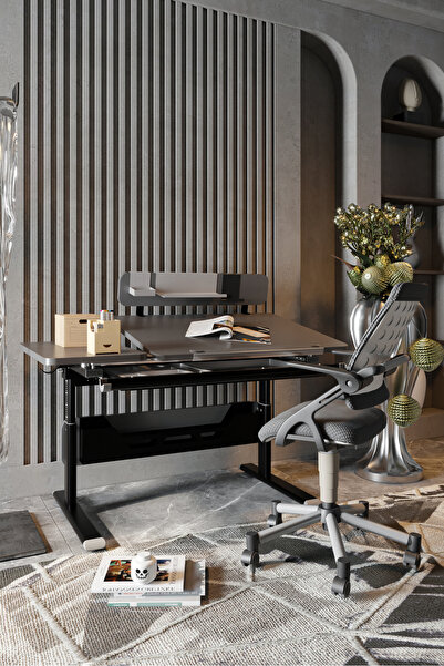 Creo Mobili Vega Advanced Profesyonel Ev Ofis Çalışma Masası, Yükseklik Ayarlı Masa + Sandalye - Antrasit/Gri