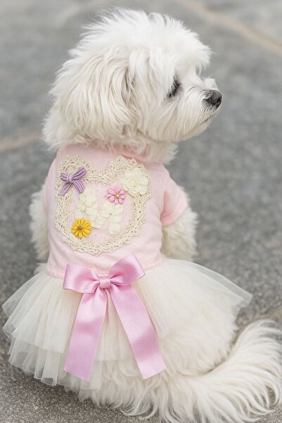 PUPPY PARTY KÖPEK KIYAFETİ