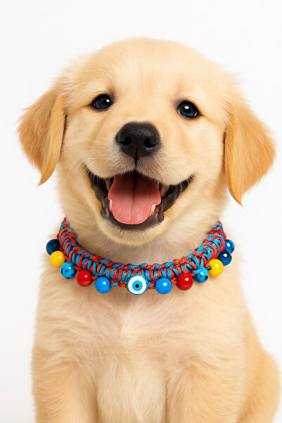 She Sells قلادة على شكل كلب من Kuçiko مع تفاصيل خرز متعدد الألوان وقلادة على ...