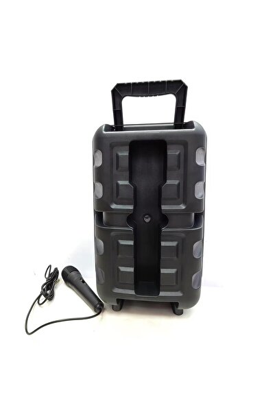 portable Büyük Boy Bluetooth Hoparlör Abs-8101