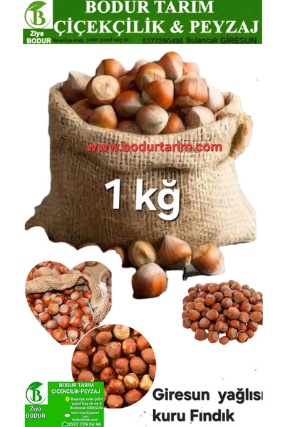 BODUR TARIM Bulancak Giresun Yağlısı Kabuklu Kuru Fındık Kuru Yemiş 1 Kğ Lık ...