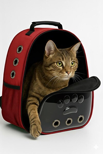 Ksburda Kırmızı Şeffaf Astronot Kedi Köpek Taşıma Sırt Çantası 45x36x25 Cm