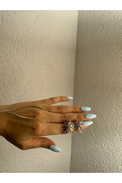 Xui Trend Model Zirkon Taşlı Kuzey Yıldızı Altın Gümüş Detaylı Küpe- Parlak Taşlı Şık Küpe