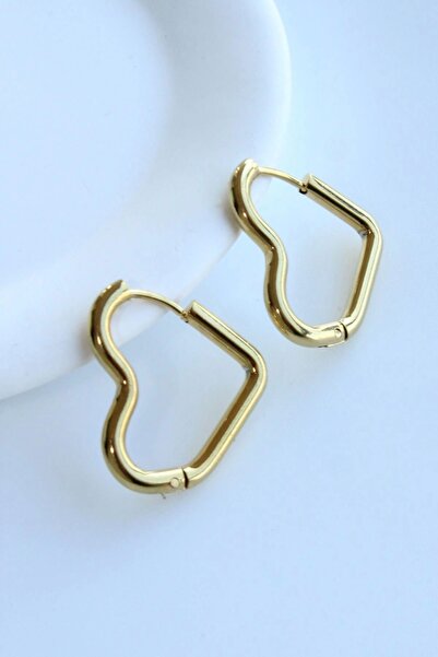 Leo'Stone Premium Seri Kalp Şeklinde Halka Tasarım Kararmaz Kadın Çelik Küpe