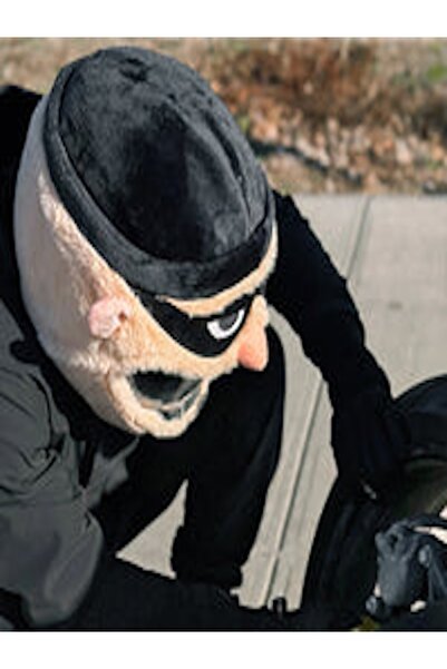 Beta Hırsız Peluş Kask Kılıfı