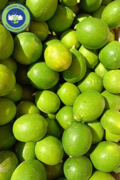 UMUT ORGANİK Organik Limon 1kg (Sertifikalı)