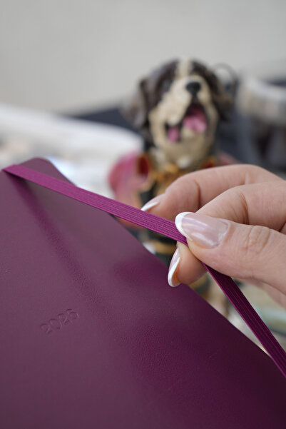 Victoria's Journals Classic 2026 Daily Agenda 13X21 cm Hard Cover Ivory 70Gr.