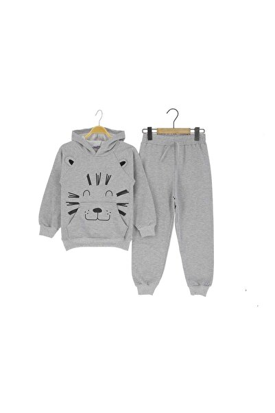 atabay Lion Printed Hooded Two-Ply Sharded Tracksuit Set Gray