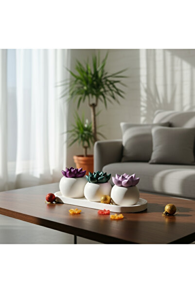 LUNİVAA HOME 3 lü Dekoratif Tabaklı Kaktüs ve Sukulent Çiçek Saksısı