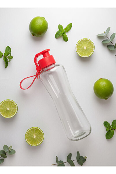 Blissra 750 ml Glass Water Bottle – Leakproof Plastic Lid Flask