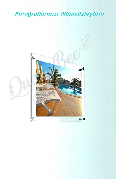 Queen Bee İstanbul Pleksi Diploma Sertifika Çerçevesi | Duvar Tipi Vidalı Montaj | A4 UYUMLU