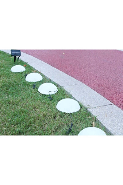 Flippy Solar Lamp 5 Mushrooms Warm White | MushSun 2