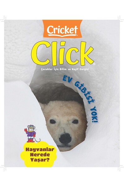 Turkuvaz Dergi CLİCK SAYI 5