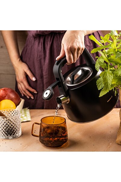 Other CZAJNIK STALOWY Z GWIZDKIEM 2,5L KLAUSBERG KB-7915