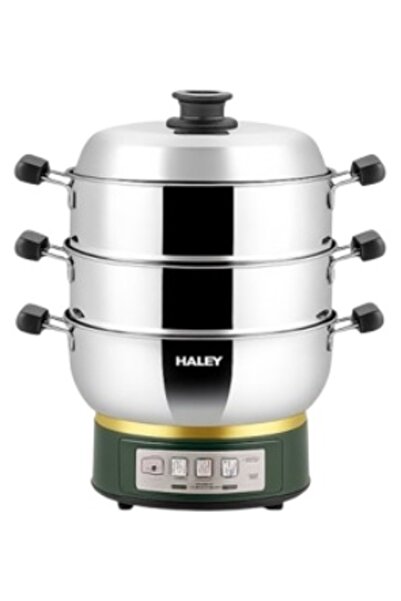 HALEY Aparat de călcat cu abur HY-502, 4 L, multicolor