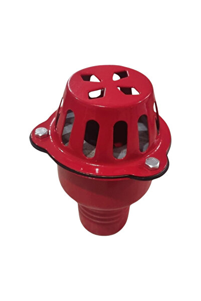 Brillo Sorb pentru motopompa 2″ metal