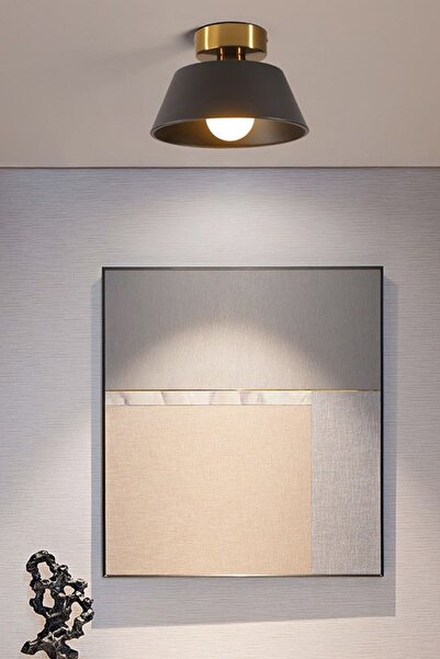 Uçar Dolly Modern Hol Koridor Giriş Için Tekli Plofonyer Metal Avize