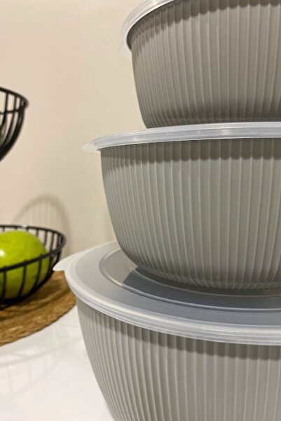 ViZKA 3-Piece Storage Container with Transparent Lid, Round Bowl Set