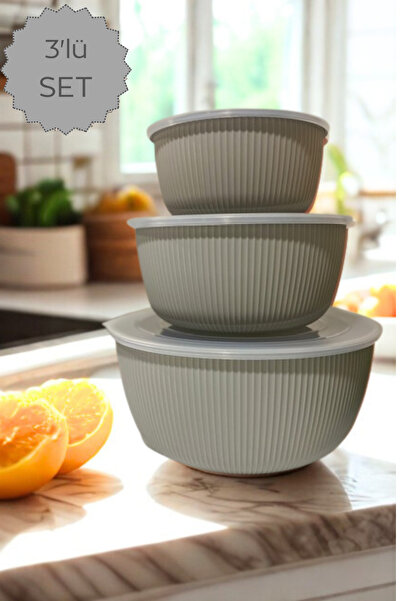 ViZKA 3-Piece Storage Container with Transparent Lid, Round Bowl Set