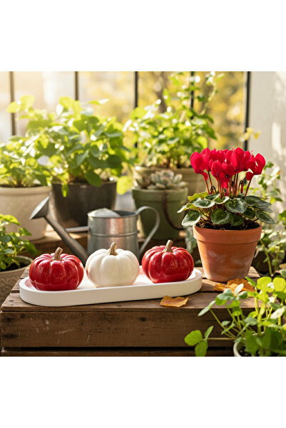 SEMY STORE YENİ!! Dekoratif Tabaklı Kırmızı-Beyaz 3'Lü Balkabağı Seti, Ev Dek...