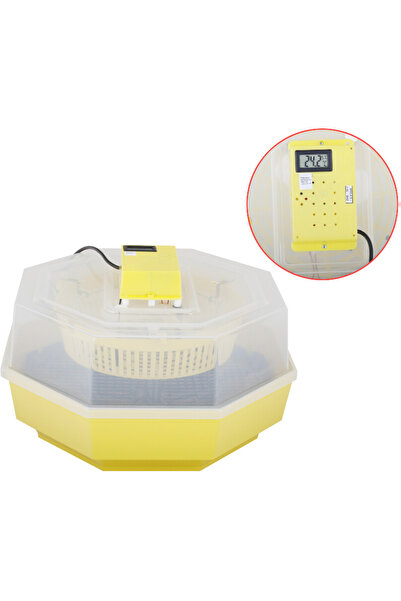 OEM Incubator electric Cleo-5 cu termometru