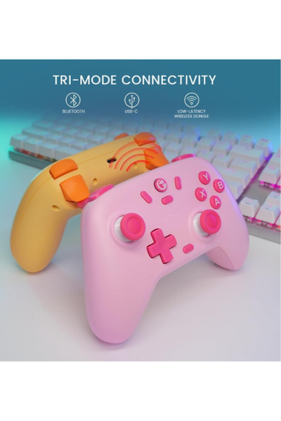 GameSir Nova Lite Controller for PC, Steam, Switch, iOS and Android Devices, Wireless Gamepad