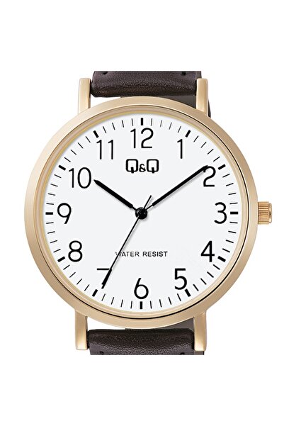 Q&Q Men's Watch, by Citizen, Classic C34A-008Y