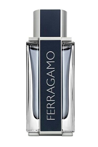 Salvatore Ferragamo Men Edt 100 Ml