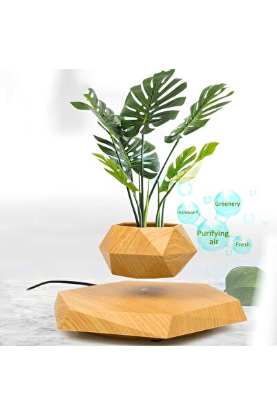 Fipka Zgsalvation Magnetic Levitating Flower Pot, Negative Ion Geometry Floating Plant, for Home Office De