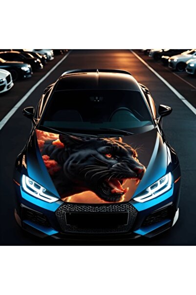 Avex Folie Capota Auto "Hood Art" rezistenta la exterior, marime S (150 x 110...