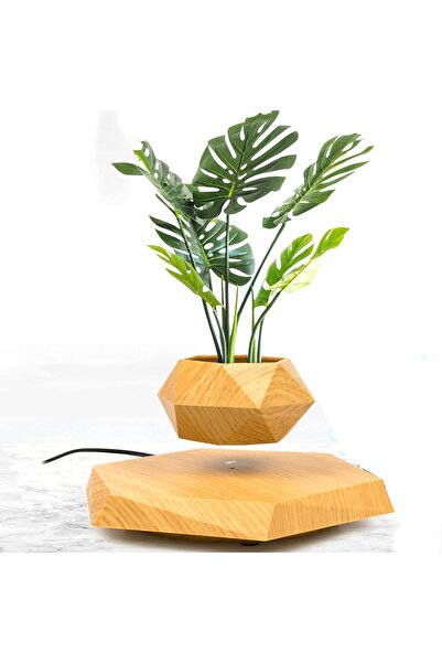 Fipka Zgsalvation Magnetic Levitating Flower Pot, Negative Ion Geometry Floating Plant, for Home Office De