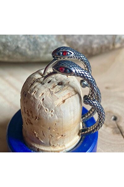 Viking Snake Design Red Stone Hoop Threadable 316L Stainless & Tarnish-Free Steel Earrings Pair