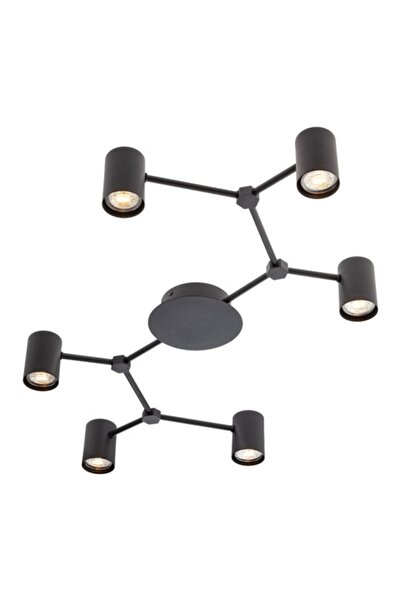 SMARTER Webb 01-4048 ceiling light, 6 x GU10, matt black, modern