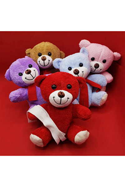 HarmonyAura Colorful Plush Teddy Bear