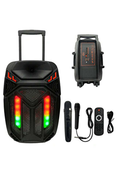 OEM Φορητό ηχείο καραόκε Bluetooth SUPER-BASS με δύο μικρόφωνα