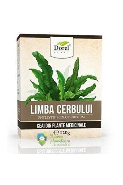 Dorel Plant Hart's-tongue Fern Tea (Navalnic) 120 g