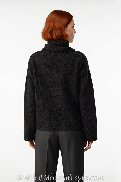 PayBuy Women's Grey Regular Fit Thick Low Sleeve Shawl Collar Crop Knitwear Sweater Ideal for Winter Season Casual Style