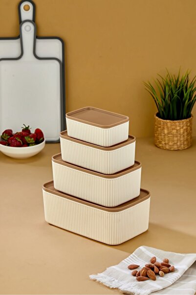 MİMOZA PARK Set of 4 Rectangular Storage Containers Striped |   2.5L 1.5L 0.80L 0.45L |   Microwave and Freezer Compatible