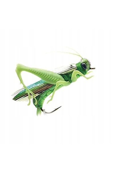 Other Muscă PĂSTRĂV LIPAN GĂNDOCĂ DE BUZE SOMON LĂCUSĂ Realist Eficient