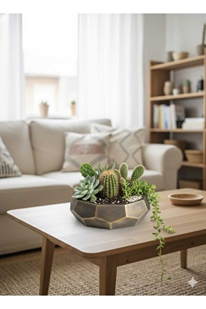 Alba Home Decor Dekoratif sukukent kaktüs arajman saksı