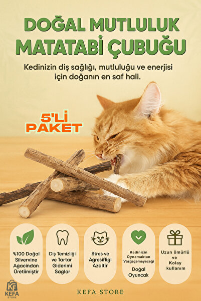 KEFA STORE MATATABİ - 5Lİ MATATABİ STİCK - KEDİ AĞIZ SAĞLIĞI VE RAHATLAMA
