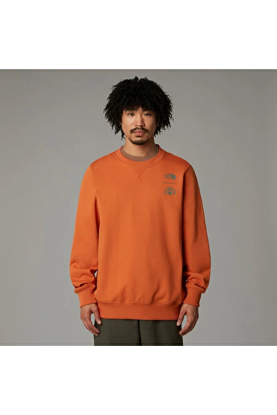 THE NORTH FACE outdoor graphıc crew ıron bronze